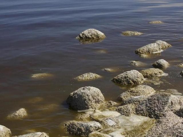 cod是什么污染物，cod測定儀如何使用？