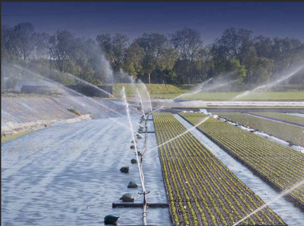 氨氮：水中的“雙刃劍”，你了解多少？