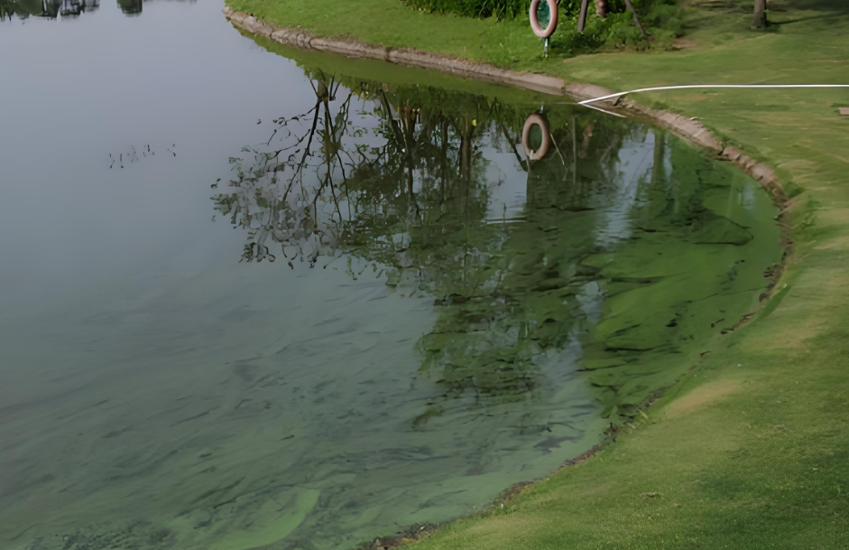 水質(zhì)砷超標(biāo)的危害有哪些？