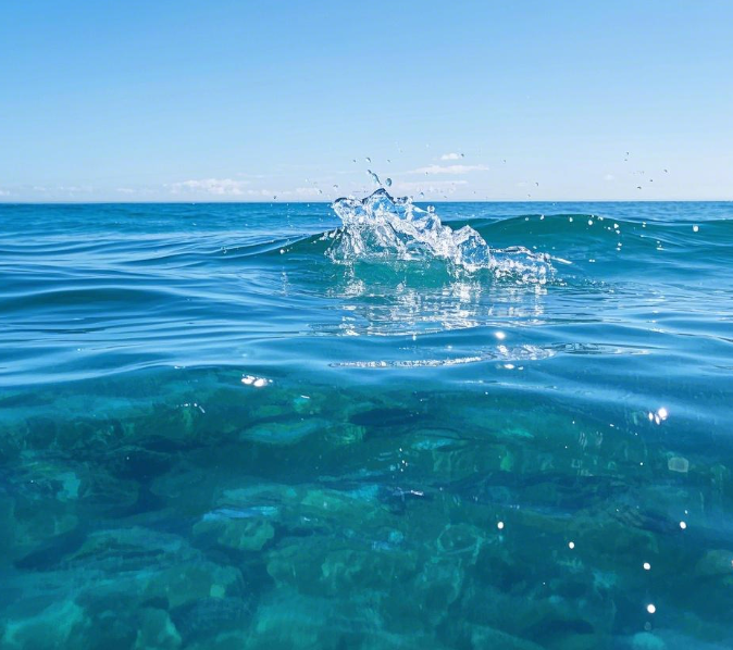 總磷測定儀的選購指南！